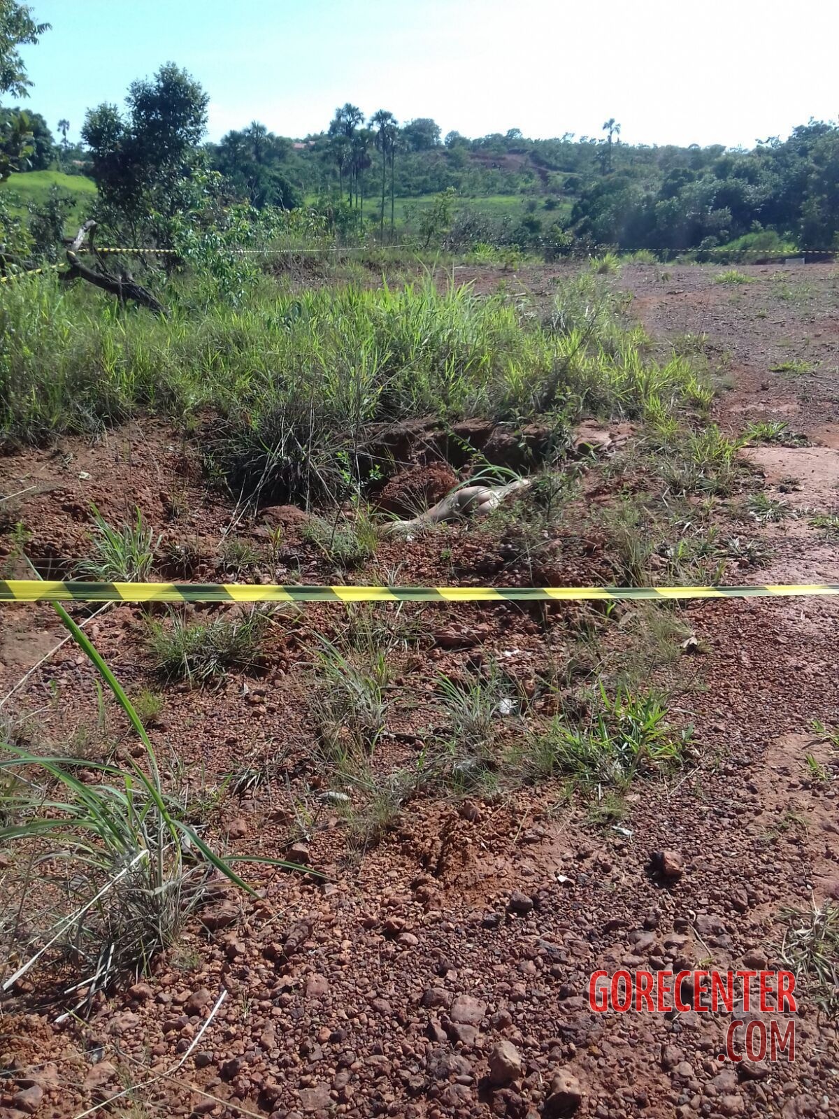 Naked Woman Found Dead In Field GoreCenter