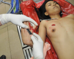 Autopsy of stabbed Chinese woman #3