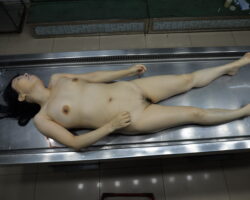 Chinese woman in morgue #26