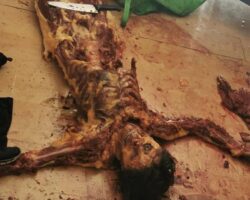 Mexican woman skinned and eviscerated