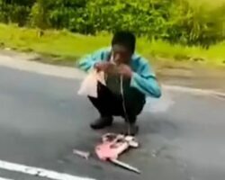 Crazy dude eats a run over baby