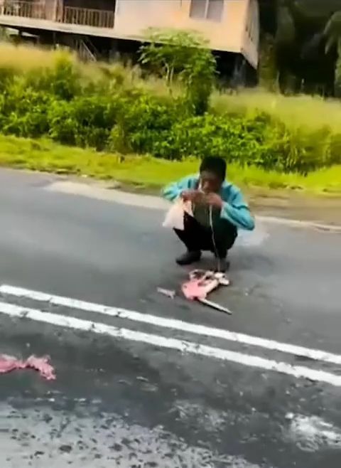 Crazy dude eats a run over baby • GoreCenter