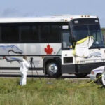 Innocent passenger slaughtered and eaten on bus