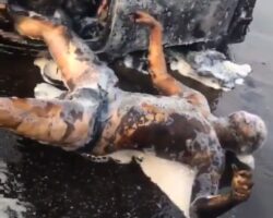 Passengers of minibus burned alive
