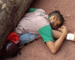 Man crushed by wood log