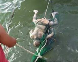 Unusual catch of fishermen