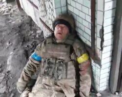 Video from Krasnogorovka, Ukraine