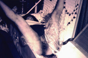 Sexually abused corpse of deceased woman