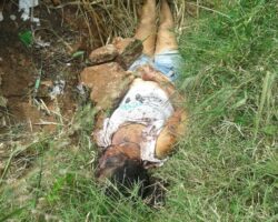 Woman stoned to death