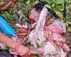 17-year-old girl crushed by bus