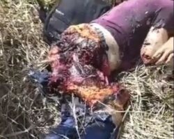 Dead body of trafficker after plane crash 1 thumbnail 1