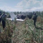 Dead body of trafficker after plane crash