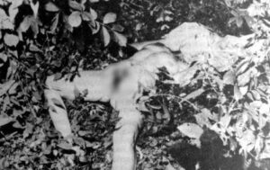 Eva R. - Victim of Ladislav Hojer