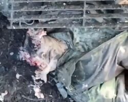Drone opens soldier’s head