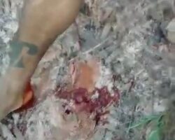 Shot in calf as punishment for thieves