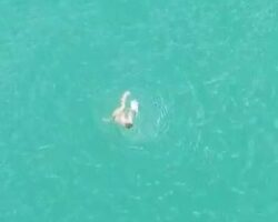 TikToker drowns when he jumps off a bridge into lake