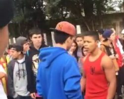 Bully dies after being kicked in head