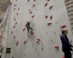 Climbing wall without belay