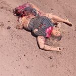 Her body is torn to pieces after collision with truck