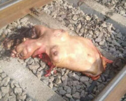 Woman torn to pieces by train #2