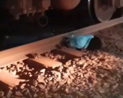 Vietnamese man cut in half by train