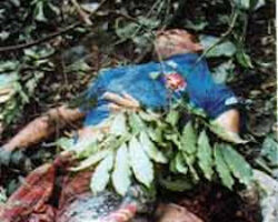 Air crash of Mamonas Assassinas