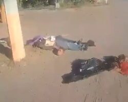 Three headless bodies found dumped on roadside