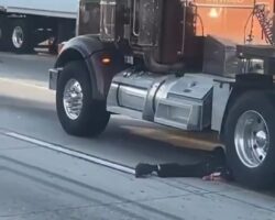 Biker died under wheels of truck