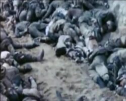Fallen Japanese soldiers during WWII