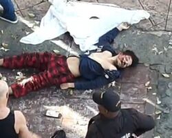 20-year-old student did not survive collision with heavy truck