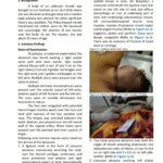 Examination of strangled and raped woman