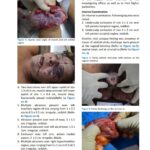 Examination of strangled and raped woman
