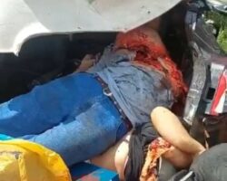 Five dead, including two children, after crash on MGC-452