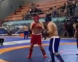 MMA fighter dies from kick to his stomach