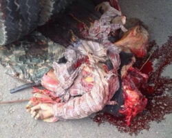 Thai senior crushed by truck