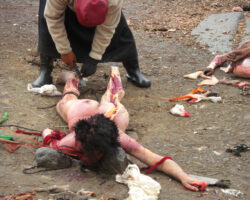 Traditional Tibetan sky burial