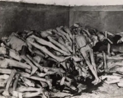 Authentic photos from Nazi concentration camp Dachau