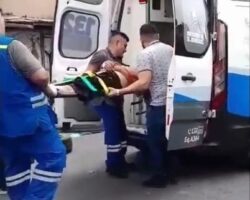 Avocado picker electrocuted to death