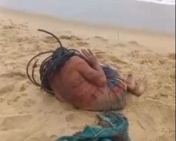 Brazilian thief is painfully whipped on beach