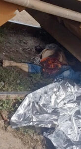 Brazilian woman crushed by train