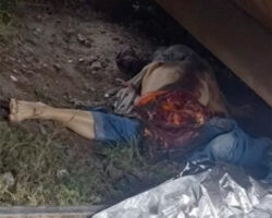 Brazilian woman crushed by train