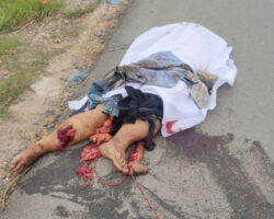Cambodian motorcyclist crushed to death