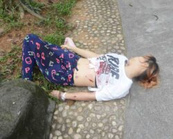 Chinese woman stabbed to death in city park