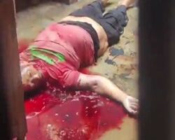 Consequence of aggressive pit bull attack