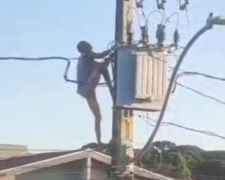 Death on high-voltage wires