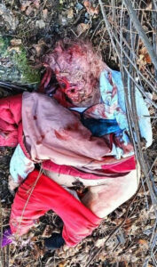 Drug addict strangled and abused old woman