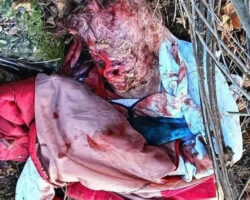 Drug addict strangled and abused old woman