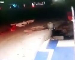 Drunk guy falls headfirst directly under truck