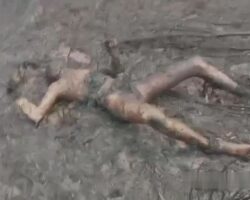 Eight firefighters burned alive during forest fire