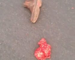 Elderly man crushed to death on his way to work